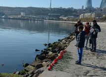 Baku residents bringing flowers to Seaside Boulevard to honor missing oil workers.  Azerbaijan, Dec.07, 2015